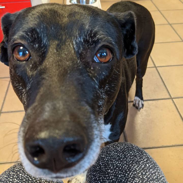 91c234d5 9661 47ea 86df a6a7220234ca 1708211611719