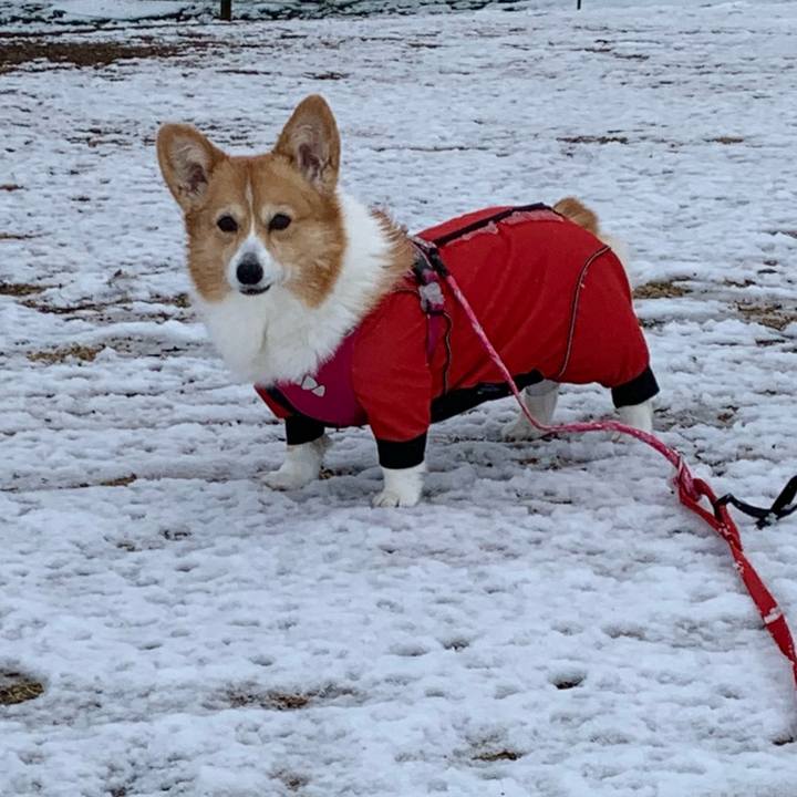 91c24419 8650 4dfa b222 7fc14a1dc2b0 1707194774732