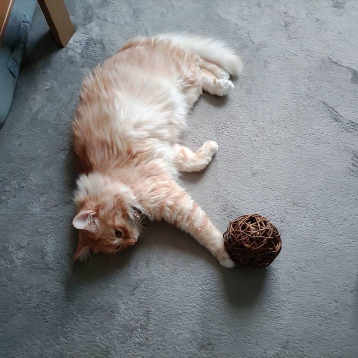 91c25685 a9be 4176 9028 4e89e0fb34f3 1659155331661