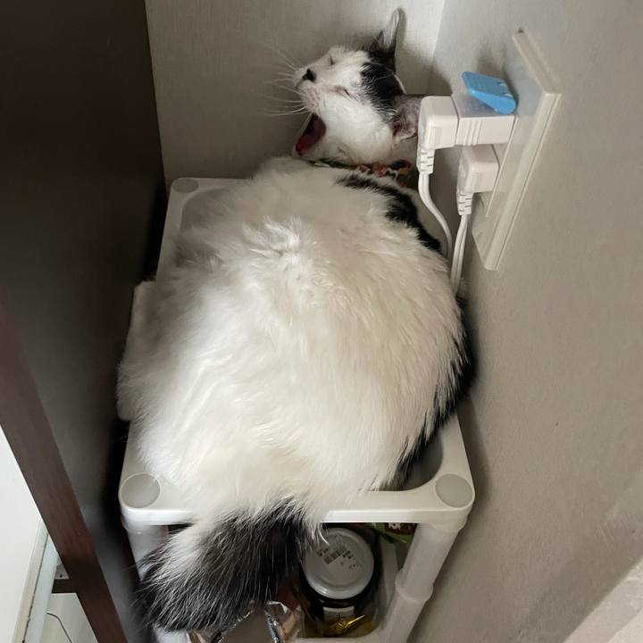 91c26409 0564 4bf5 b2e0 871a308aa93e 1628048794445