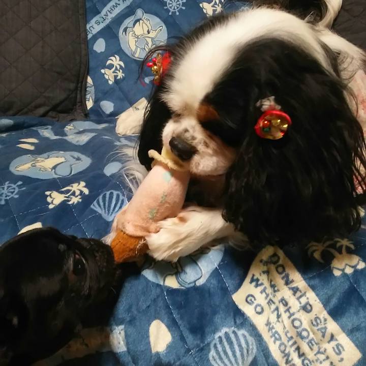 91c29310 2573 4ef5 b52e 5d0d718ebeb5 1514547250182