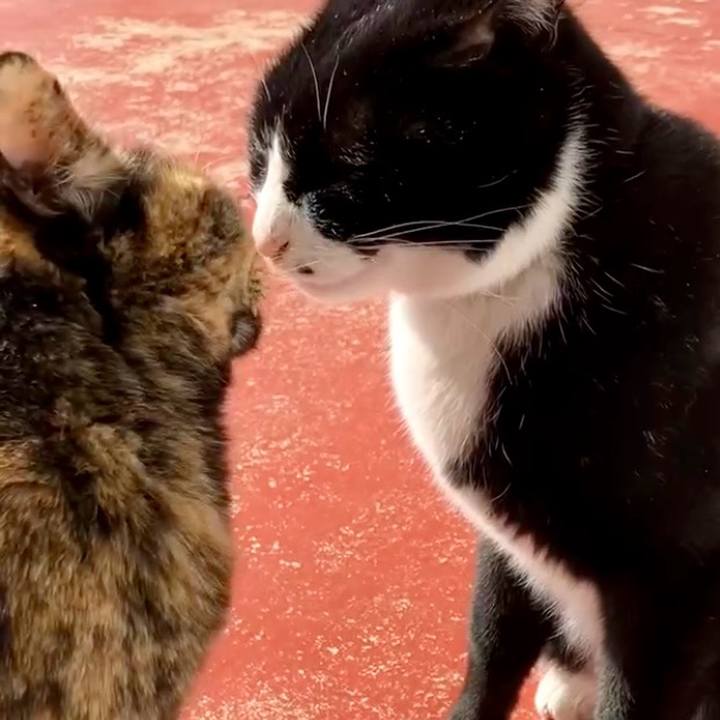 91c2acc2 7571 44e1 999d 1b9a3aea4b8a 1739757690713