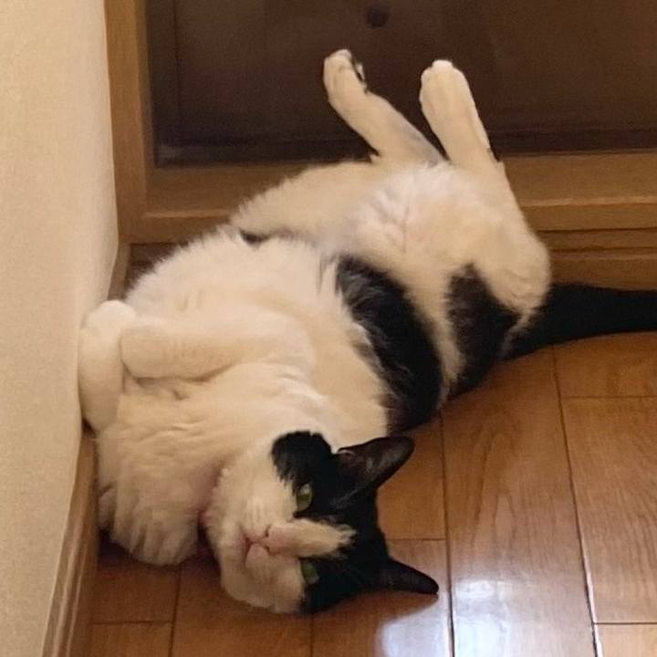 91c2c4b8 3f6d 4519 bfe0 ff2a2b494223 1626736067147