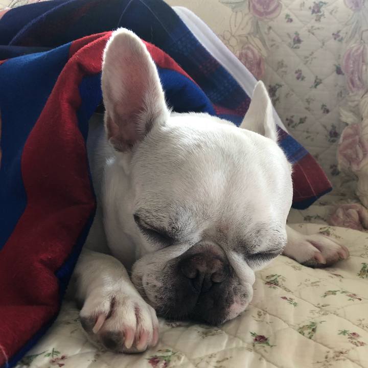 91c325f4 d628 4b79 8abe aaecf46e1277 1592714818538