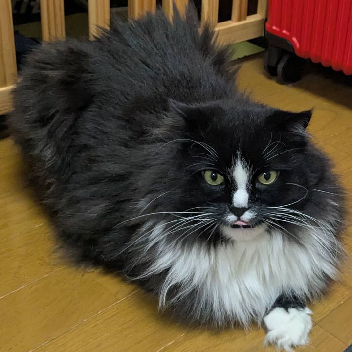 91c3666f ad2b 4ef0 b58c e244cfe8a3e7 1752239839771