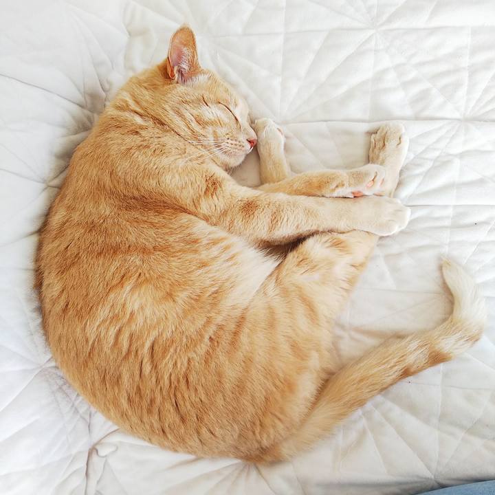 91c36a11 169d 41f2 8d81 3e0528a59ee7 1660454837771