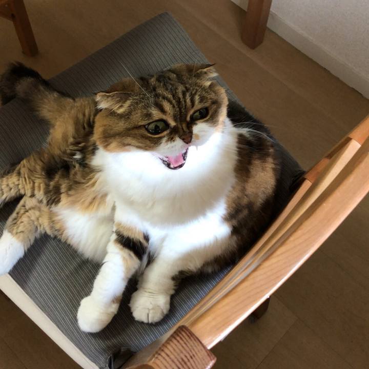 91c39742 5fe1 4db0 aef3 931121f41250 1536374986975