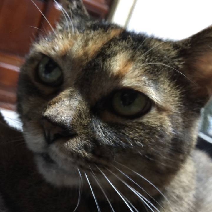 91c39cd8 1bd7 4e55 a3c3 23048b912809 1525781869423