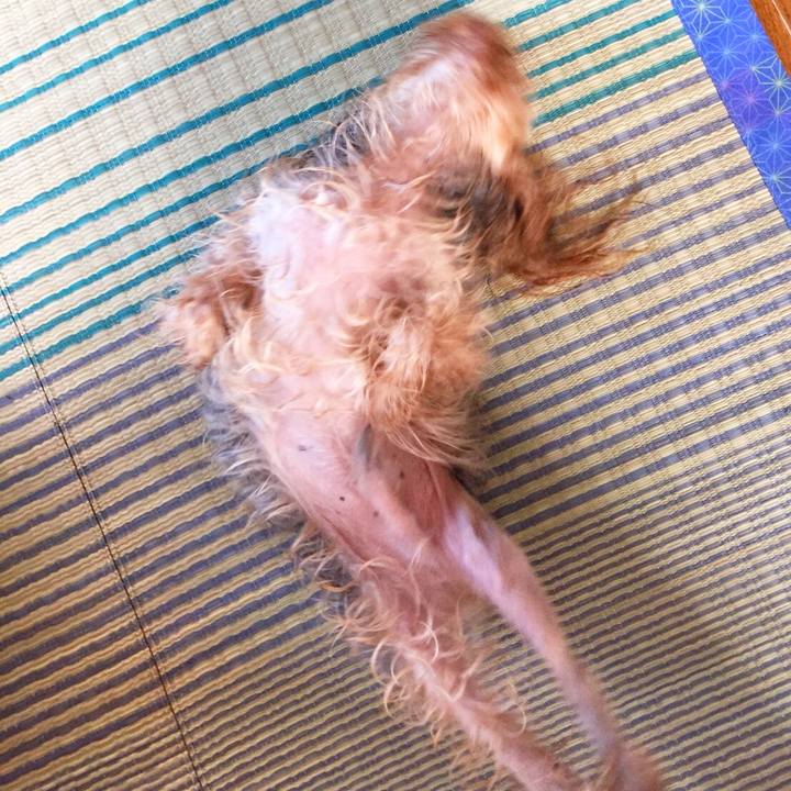 91c429a9 b6c3 4dd7 bad4 e0ec35dc2488 1533542775204