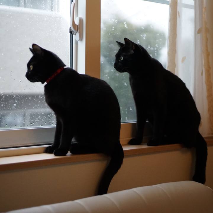 91c440ae 28e0 4bd9 b299 6a7efa5ddfc1 1521640147258