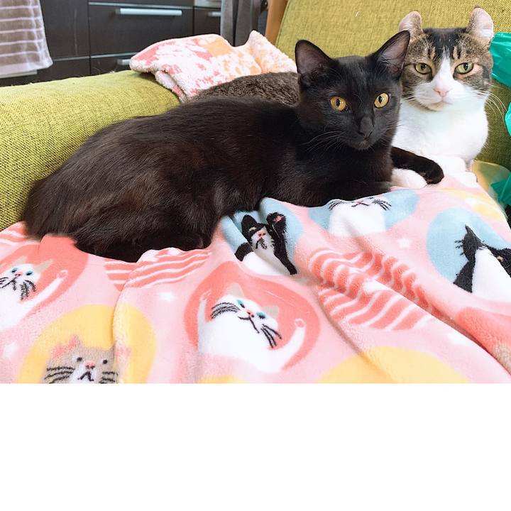 91c45b56 c7e3 4402 914a 082dc6fd36a4 1554993666561