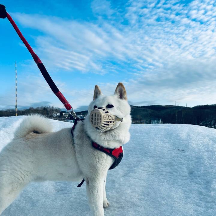 91c47a9a aacf 4f37 b49a 12a652e0d716 1711234616580