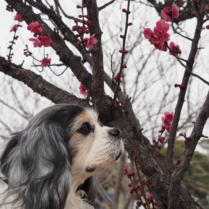 91c47f17 b24d 41a4 b2de c35642dbb3ea 1549871322087