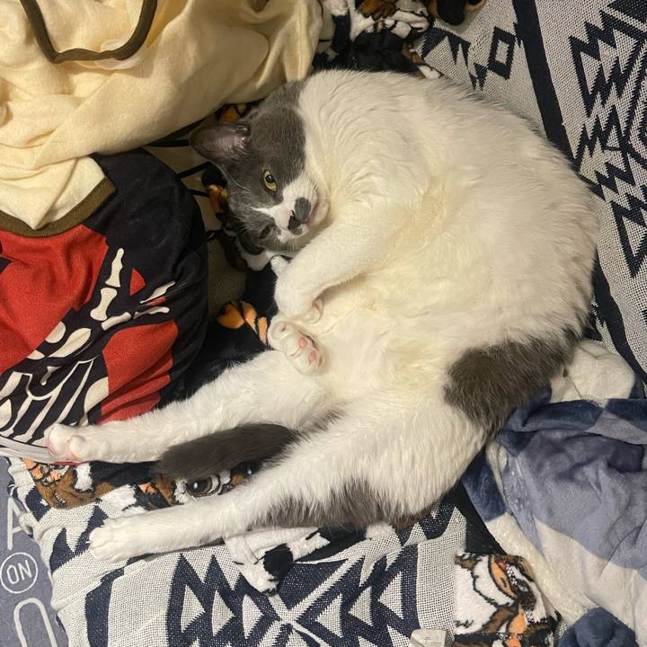 91c483de 84e9 42a5 8074 882a5174e001 1732965840477