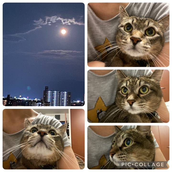 91c48504 0811 4de8 be77 ddc8b0d873f7 1632243452519