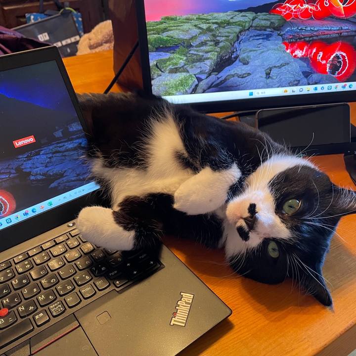 91c48c82 a744 4a76 9660 3e2304366ea2 1709442615846