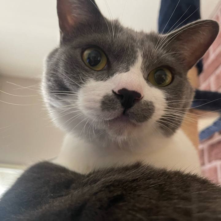 91c4a45c 5244 482a bc7a b0551c29d176 1664926016264