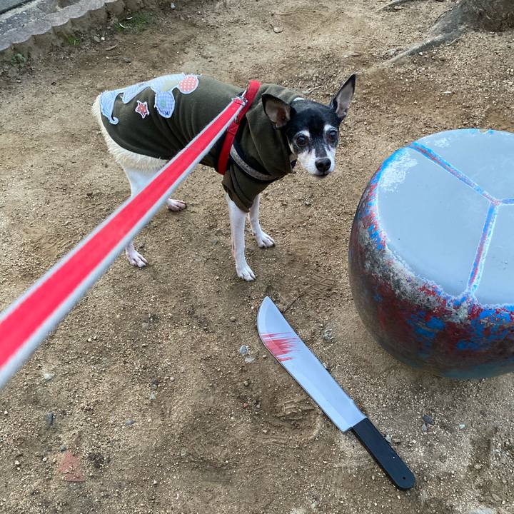 91c4d6bd 2b93 4b30 8c15 6919151d0fa1 1582237253102