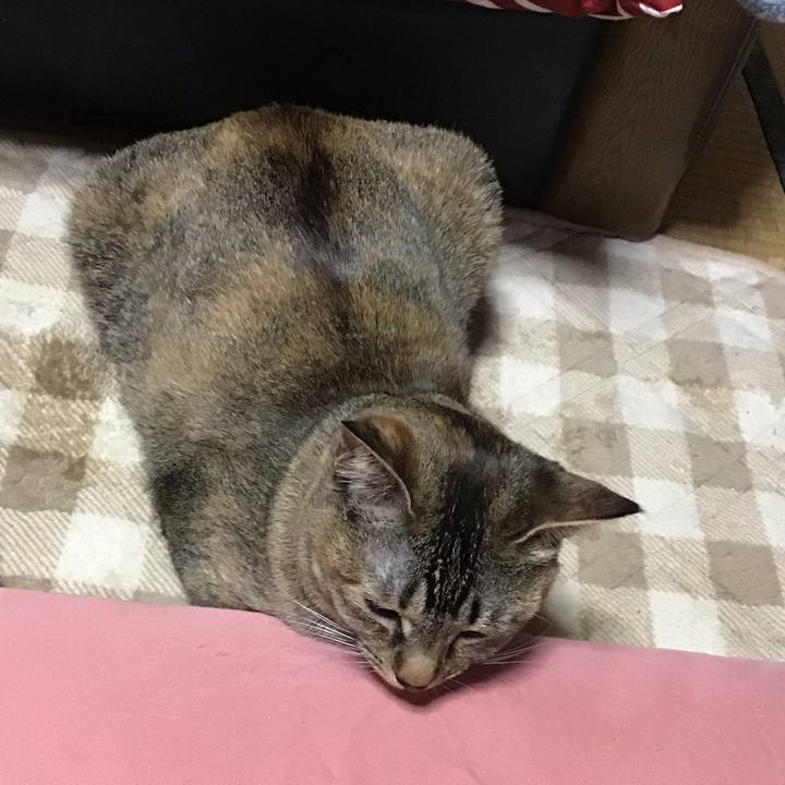 91c4de2b ce2d 4824 b31f 14058c7c5d21 1583641890897