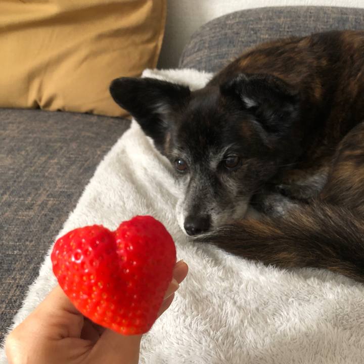 91c4e303 f350 46d6 ae3b d96ca84036c0 1678411913560