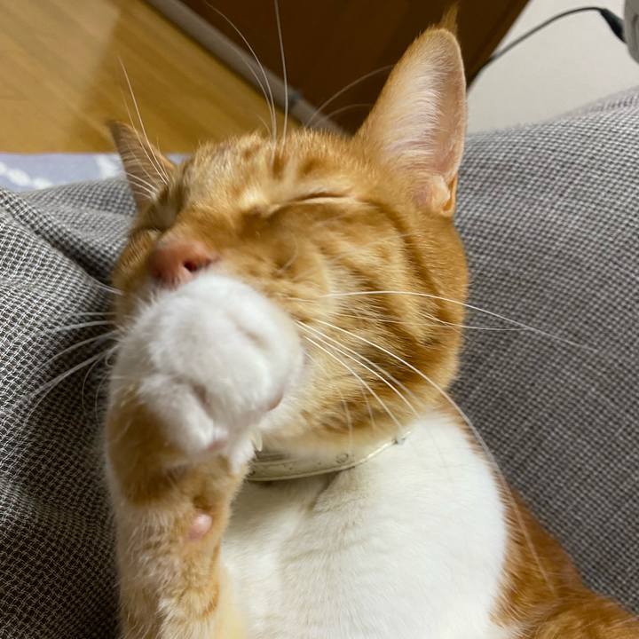 91c4f5ca 91d0 4e2d 8387 2dad52cca428 1647953317206