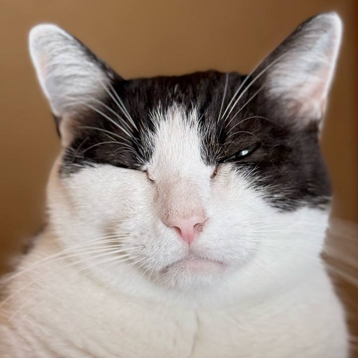 91c4f741 dcce 42d8 97c3 3366c3814120 1755563411704