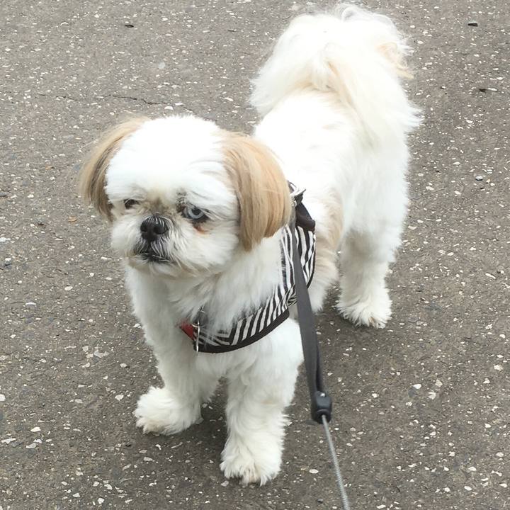 91c50c73 f334 4348 8c8a 1b0cad604bbf 1525330389250