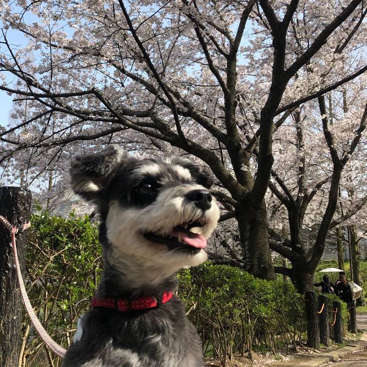 91c514f8 60b4 430b 8b73 b99025bf8b1f 1616998186517