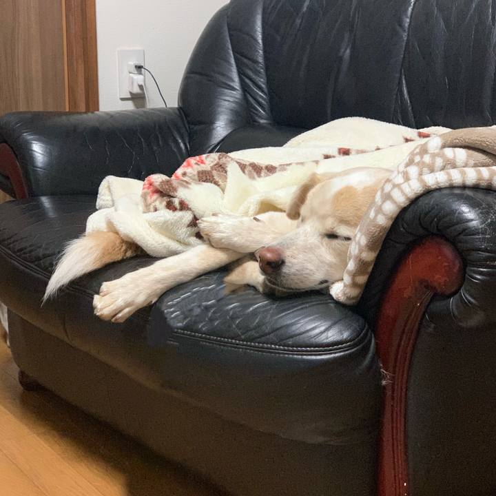 91c5be95 6e7e 4b20 9029 a26f8c632e90 1640957973112