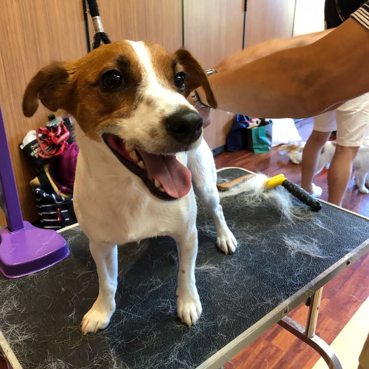 91c5eae5 2169 40cd 81f7 39c9648672aa 1535611138199