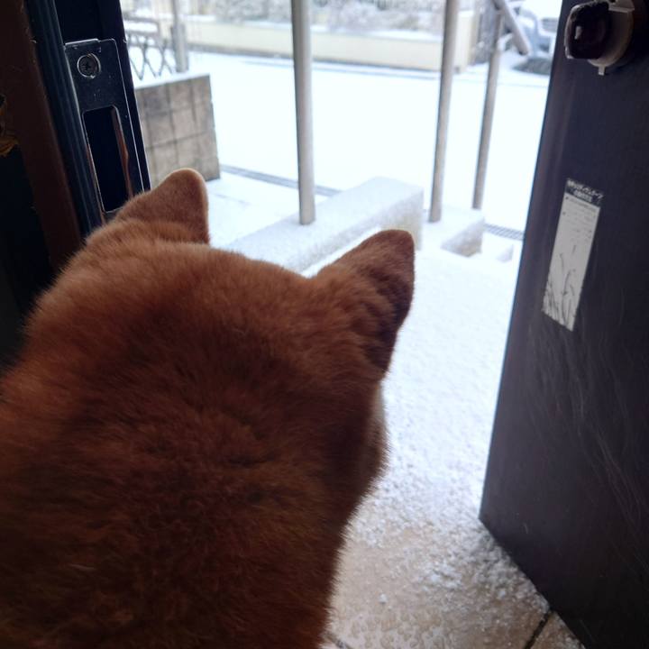 91c5f69c 1a63 4397 97bb ea286e6c2a96 1770525546988