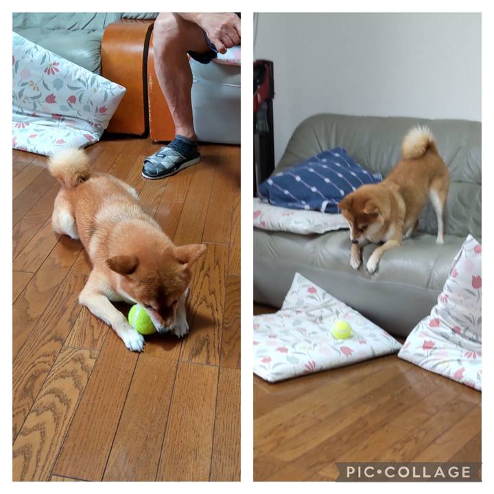 91c5fa1a c572 40f8 b60c c133a0c2fc1e 1719791213204