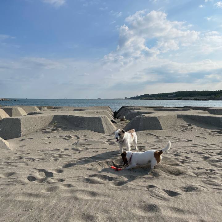 91c61231 4412 43df 94b6 0373b45f9395 1663288725311