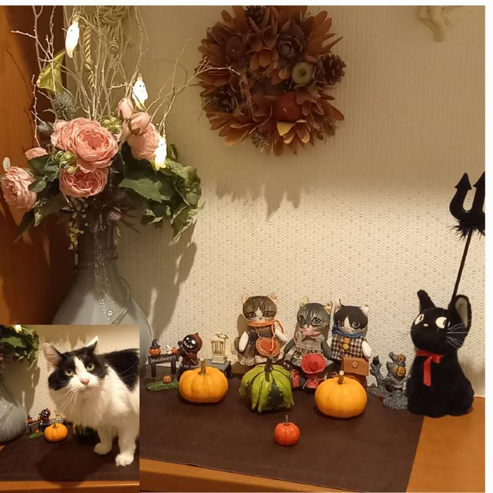 91c6317e ef75 4987 abf3 34b89a6296ea 1665737960897