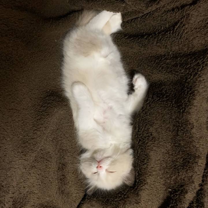 91c6336a d03a 44c3 a982 da7d1e57c354 1588887636983