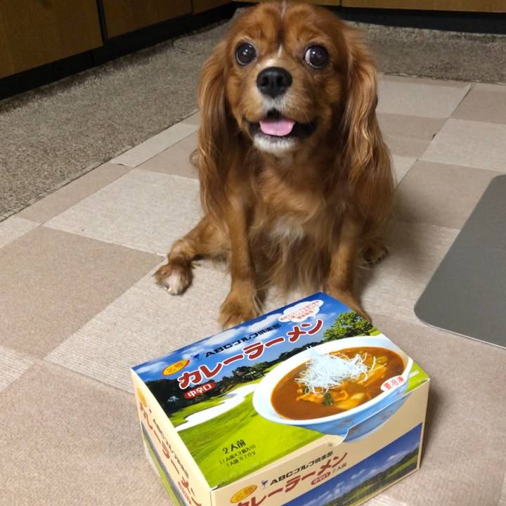 91c6472a f48d 48b3 b9d5 5a9f5e6557d7 1566560366293