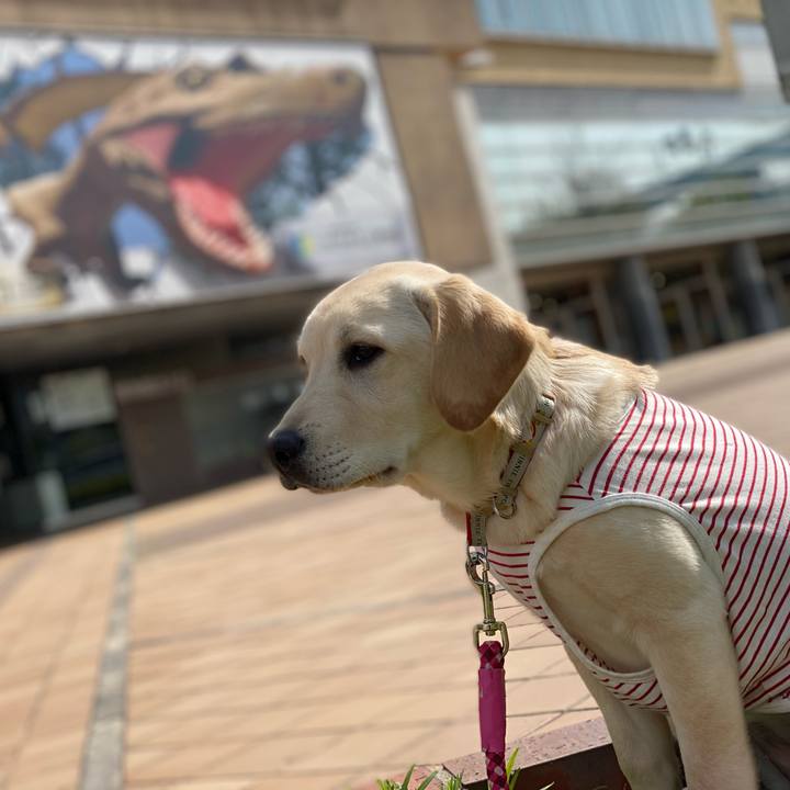 91c67473 0cdf 4303 ad13 e05f2b1649ca 1618069026026