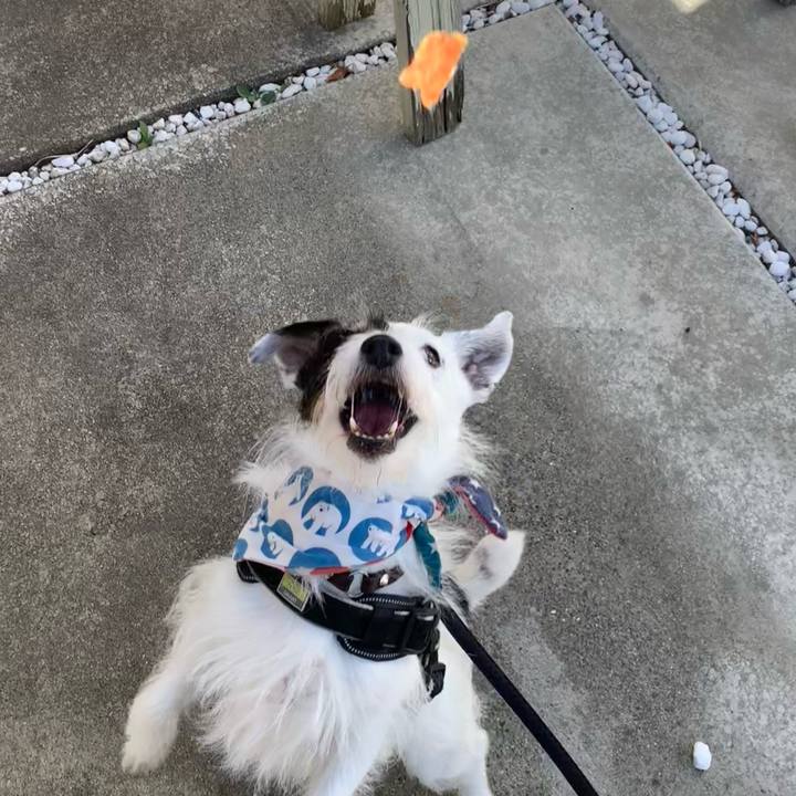 91c68c55 5a2d 4606 9014 7e6bd6f5db2b 1753830452832