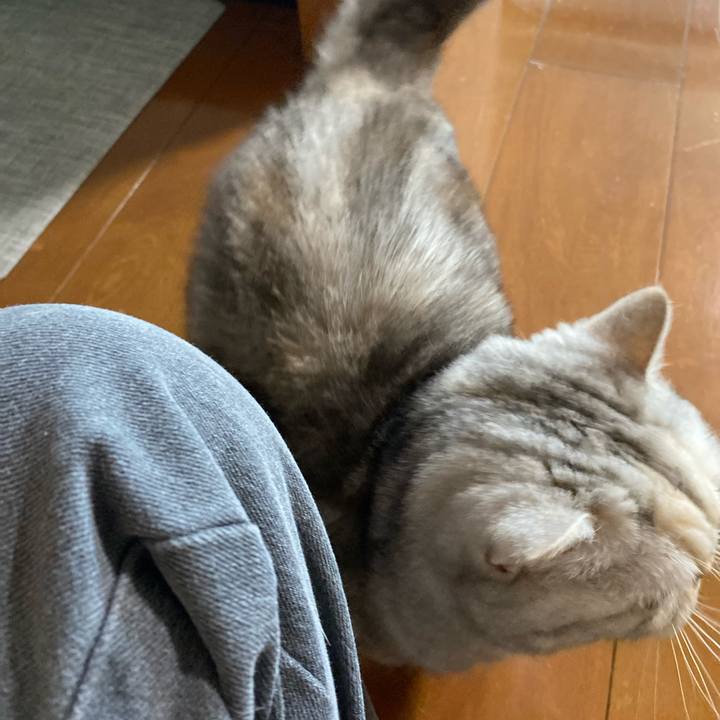 91c6935a 3117 4dbe b33f 6f2ef0f87cd7 1737796664107