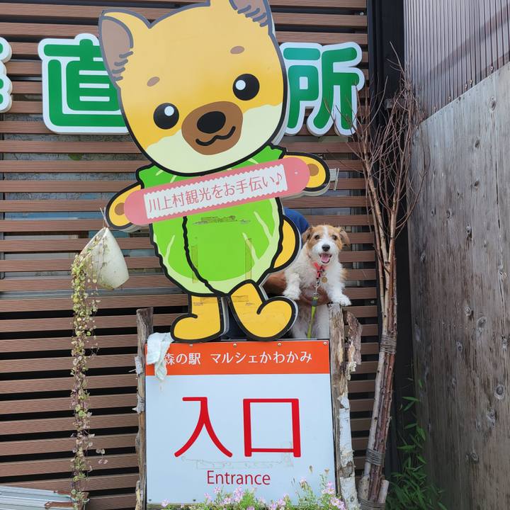 91c6b7b4 f2da 4379 ac29 e8151f508a98 1694845301207