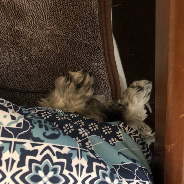 91c6c25c 6933 4f94 b811 cb47e45a463d 1520888806214