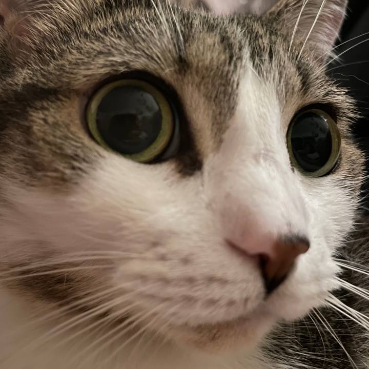 91c6c674 c872 4c82 b8cf 932661199de3 1743982036327