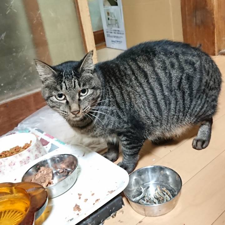 91c70e0b 0264 4bb6 a3b6 2404df781771 1631796483337