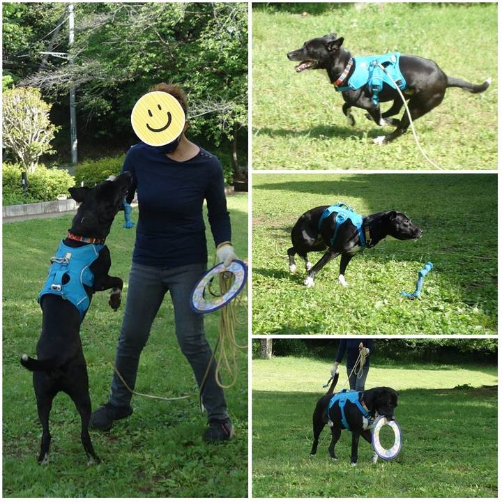 91c72cf3 d6b5 4b28 a4c9 743acf5fbc6b 1620174334293