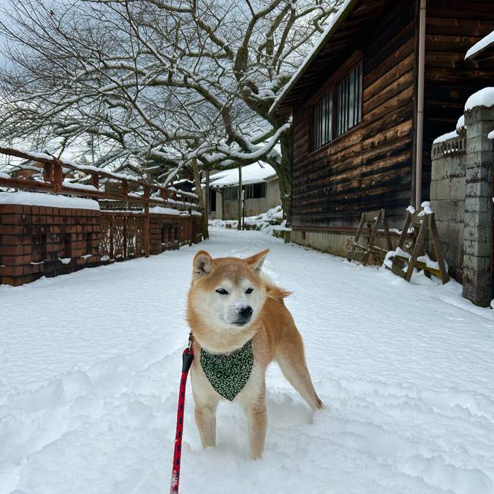 91c7373b 79c0 4470 ac10 c1aa04f1cea2 1738839402242