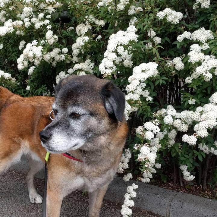 91c753ce 8411 46a5 8801 784883c299f9 1523839086055