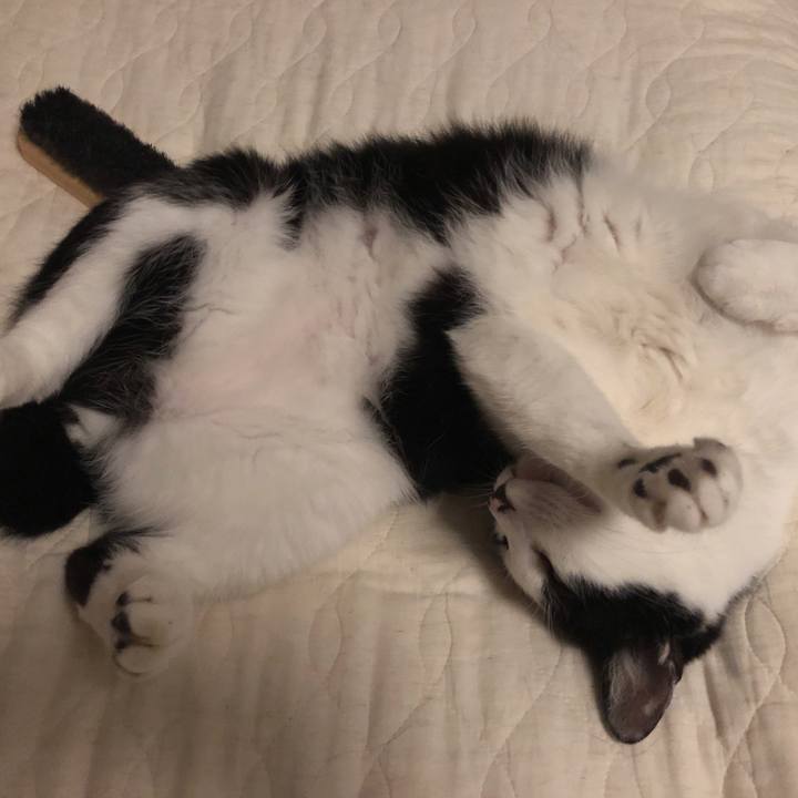 91c781f5 5347 4042 8da7 cde87cbf53cb 1562759941142