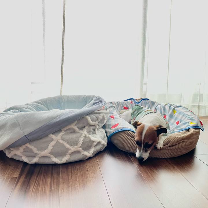 91c78cc2 304f 4103 bb0d e1691ad22f2a 1719276973031