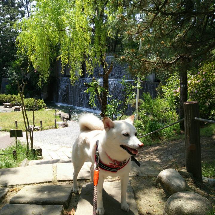 91c79923 cc14 496c b7a0 96284ff84f41 1557462074331