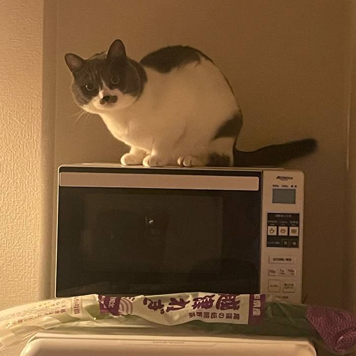 91c7d8b4 124c 459b ad62 b0ee4c7dac97 1674126706774